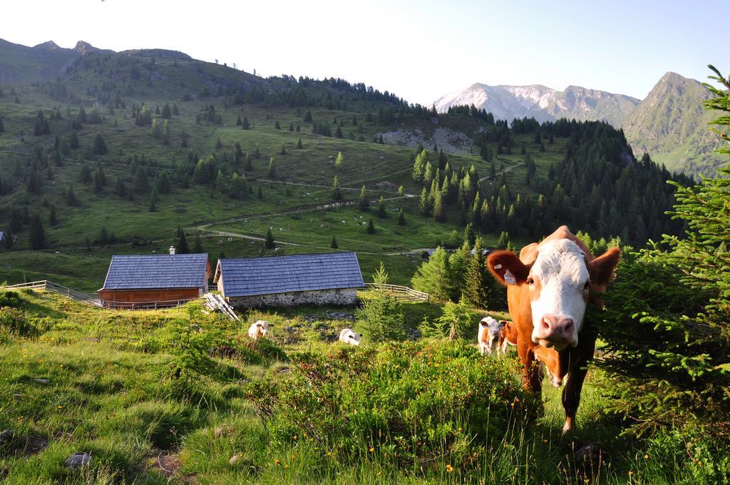 Ferienwohnung Urlaub am Raderhof in der Ferienregion Lungau Mauterndorf  Exterior foto