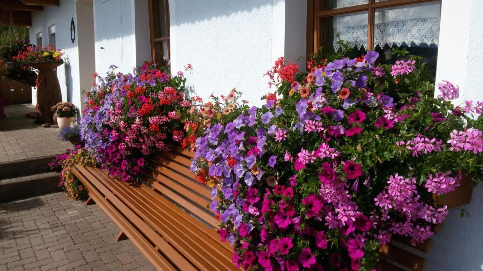 Ferienwohnung Urlaub am Raderhof in der Ferienregion Lungau Mauterndorf  Exterior foto